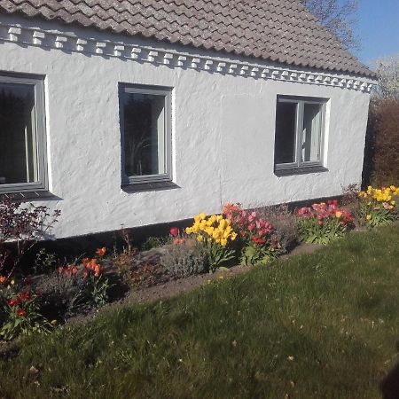 Lindholt Bed & Breakfast Fjerritslev Exterior photo