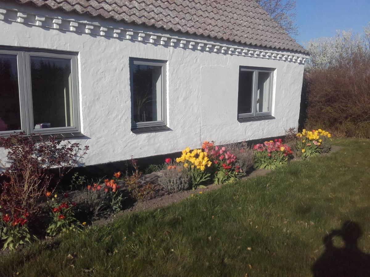 Lindholt Bed & Breakfast Fjerritslev Exterior photo